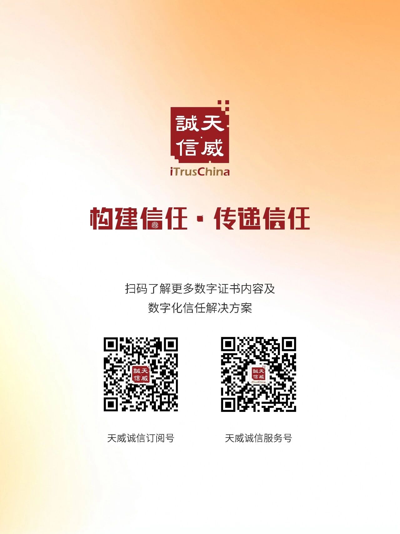 1769764385443031295.jpg 08.jpg